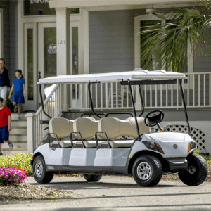 Yamaha Golf-Car DRIVE2 Concierge 6