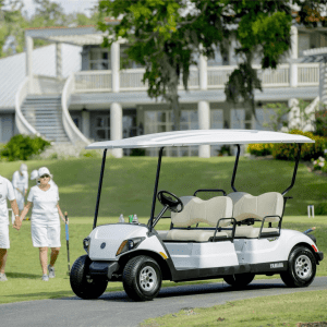 Yamaha Golf-Car DRIVE2 Concierge 4