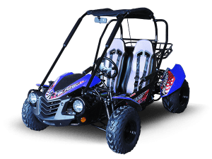 TrailMaster BLAZER 200 GoKart