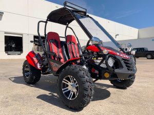 TrailMaster BLAZER 200EX GoKart