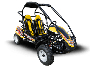 TrailMaster BLAZER 200R GoKart