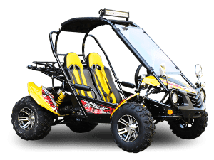 TrailMaster BLAZER 200X GoKart
