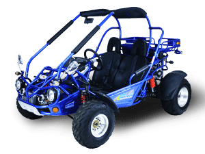 TrailMaster 300 XRX-E GoKart
