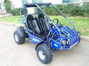 TrailMaster 300E XRS GoKart