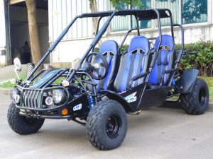 TrailMaster 300E XRS4 GoKart