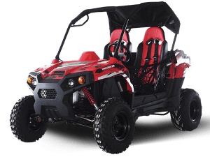 TrailMaster CHALLENGER 300E UTV