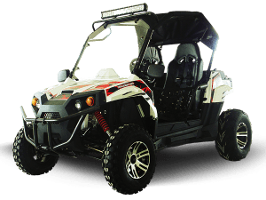 TrailMaster CHALLENGER 300EX UTV