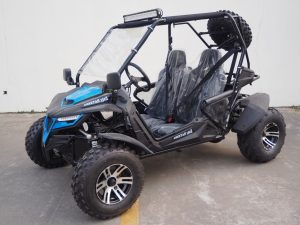 TrailMaster CHEETAH 200 (E)X GoKart