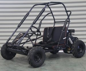 TrailMaster MID XRS GoKart