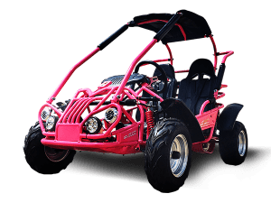 TrailMaster MID XRX-R GoKart