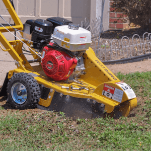 Rayco Mini Work-Force - RG13 Series II Stump Cutter