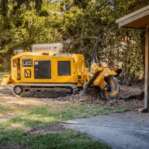 Rayco RG165T-R Stump Cutter