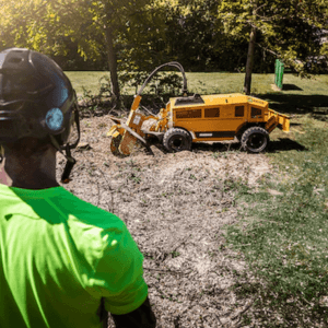 Rayco RG80-R Stump Cutter