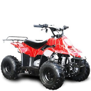 TrailMaster Mini Sport ATV