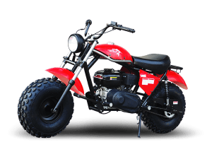 TrailMaster MINI BIKE